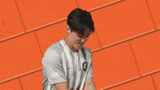 Soccer Lawnmower GIF by Carson-Newman Athletics