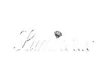 Logo Diamonds Sticker by Pandora Car Alarms