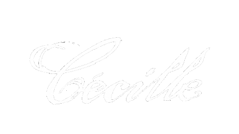 cecillerecords giphyupload vinyl housemusic cecille Sticker