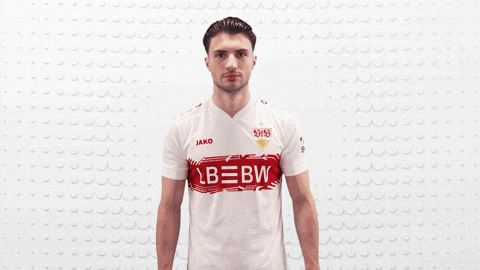 Vfb Stuttgart Football GIF by Bundesliga