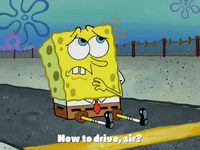season 4 krusty towers GIF by SpongeBob SquarePants