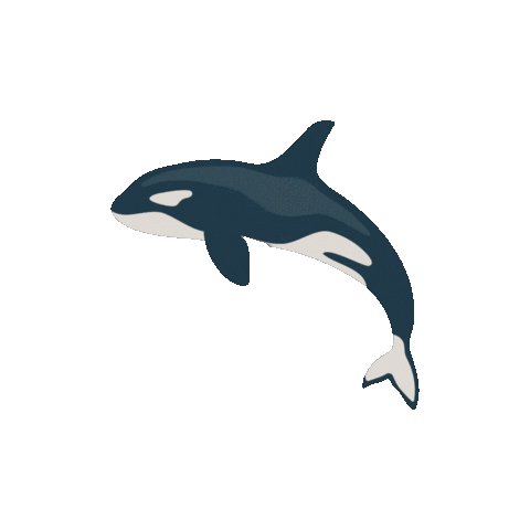 Orca Sticker by Kyte Baby