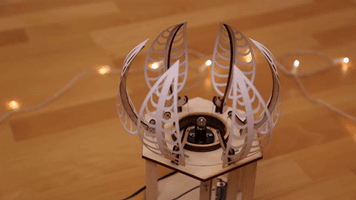 night flower GIF