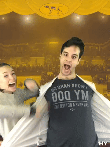 wkcdogshow GIF by Westminster Kennel Club