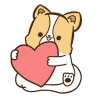 corgiyolk love heart dog dogs GIF