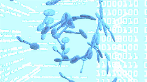 GIF by Senque