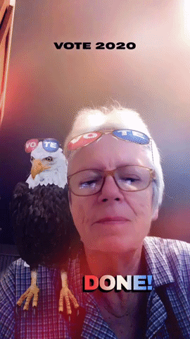 annerolfe giphygifmaker vote flag snapchat GIF