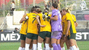Matildas GIF by Football Australia