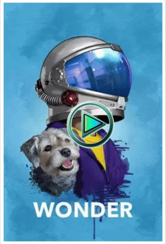 netflixs giphygifmaker wonder full movie GIF