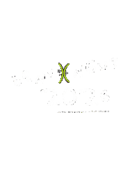 Hand Made Bonany Sticker by xpassarlestona