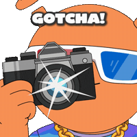 Social Media Smile GIF by Quirk Life Studios