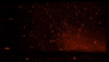 Oppenheimer GIF by Princeton University