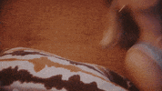 Sunglasses Singer GIF by Sarah Cothran