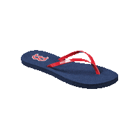 Red Sox Baseball Sticker by REEF