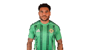 Happy Jamie Reid Sticker by Northern Ireland