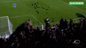 happy sport GIF by Play Sports