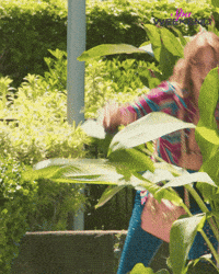 Suck It Anna Faris GIF by Black Bear Pics