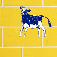 altadenadairy  GIF