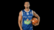 Basketball Drews GIF by Rostock Seawolves