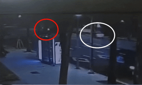 Insight_video giphyupload GIF