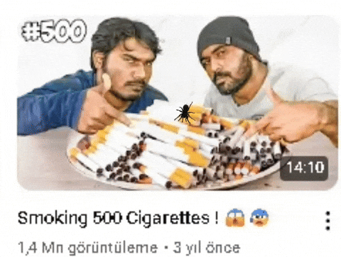 Jangabbies giphyattribution giphycreatortest GIF