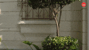 Real Life Summer Games GIF by BuzzFeed