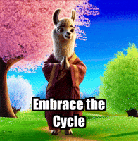 Wisdom Acceptance GIF by dalaillamazen
