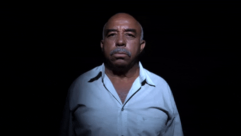 GIF by TV Gazeta