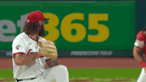 Home Run Celebration GIF by Toronto Blue Jays