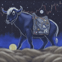 Crypto Feeling GIF
