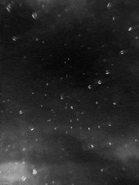 rain drops GIF