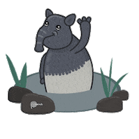 Peru Llama Sticker by Y Tú Qué Planes