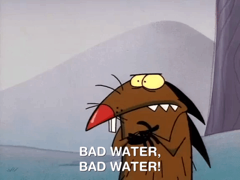nickrewind giphydvr nicksplat angry beavers giphyab002 GIF