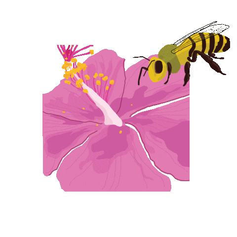 Flower Bee Sticker by benjamadeo