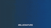 CommunicationsINC nature jump ocean environment GIF