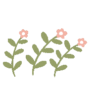 Flowers Rose Sticker