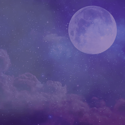 moon howl