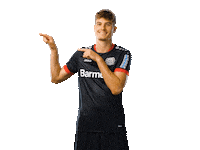 Bayer 04 Werkself Sticker by Bayer 04 Leverkusen