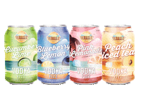 iced tea love Sticker by Wreck Beach Spirits