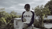 VPRecords reggae 6 jamaica six GIF