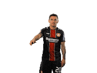 bundesliga werkself Sticker by Bayer 04 Leverkusen