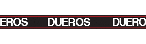 Awesome Jewelry Sticker by DUEROS