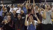 Celebration Baseball GIF by Toros de Tijuana