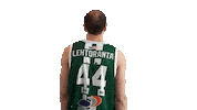 Basketball Hoops Sticker by Basket_fi