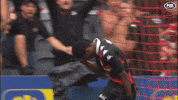 Western Sydney Wanderers Goal GIF by wswanderersfc