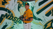 Baseball Bison GIF by NDSU Athletics