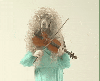 Boo Hoo William Wegman GIF by Jason Clarke