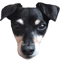 fashion no Sticker by Marina Hoermanseder