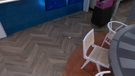 Head Of Household Coin Flip GIF by Big Brother