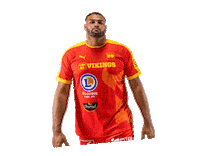lesvikingsdecaen handball proligue caenhandball lesvikingsdecaen Sticker